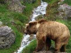 photo from morgueFile.com