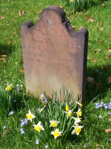 Photo from morgueFile.com