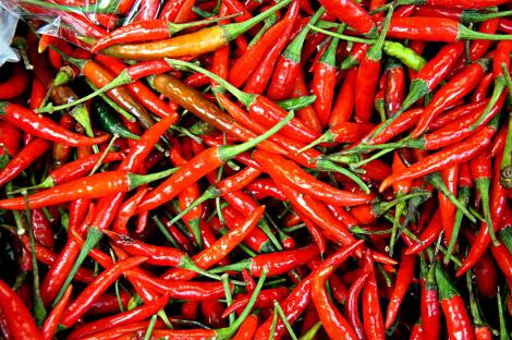 photo from morguefile.com