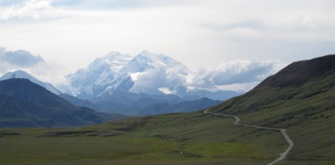 Imagine a woolly mammoth here.