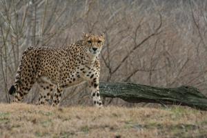 Photo by Sgarten on morguefile.com