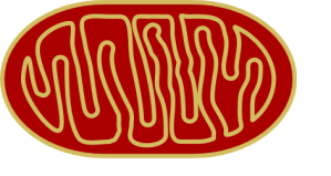 Image: Nevit Dilmen via Wikimedia Commons