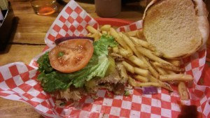 20160122_195016_Burst01[1]