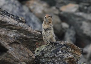 Photo by Garrett Savory